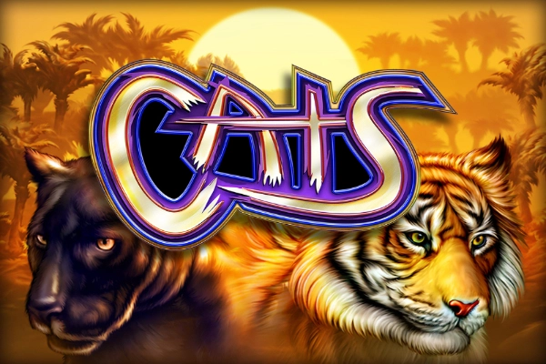 Cats at FashionTVWin